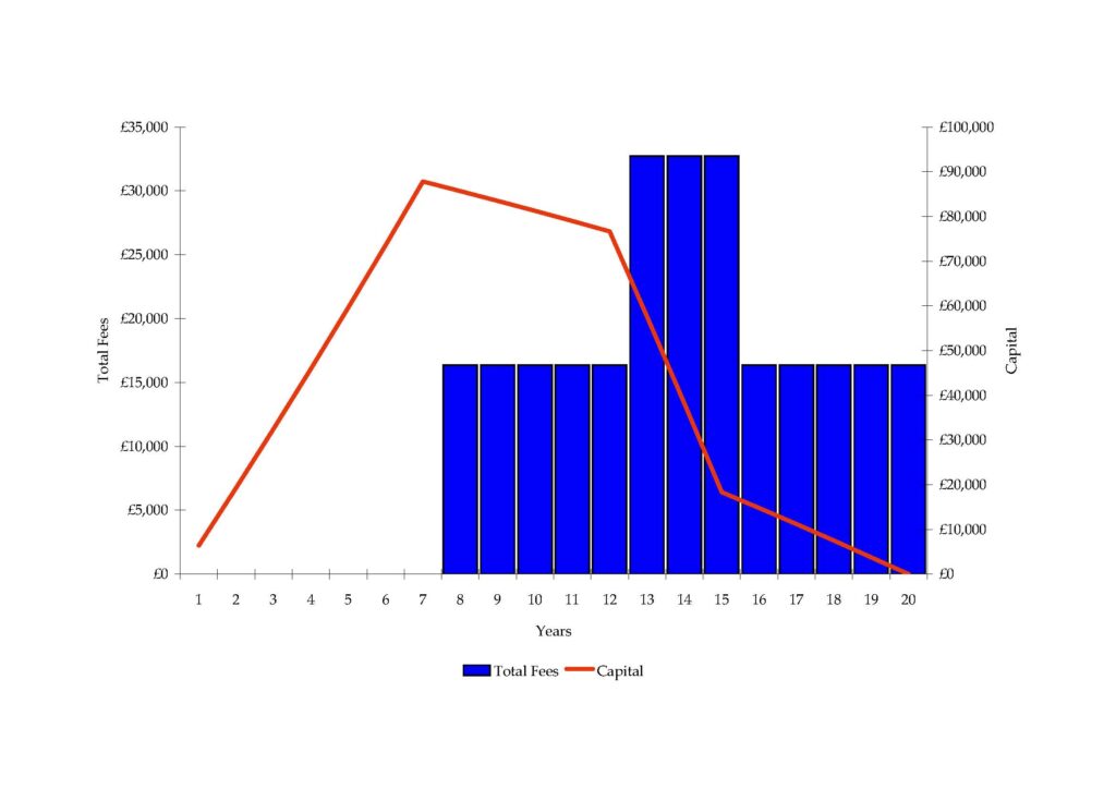 An example graph showing school fees payments