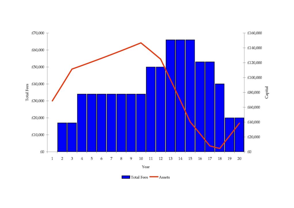 An example graph showing school fees payments